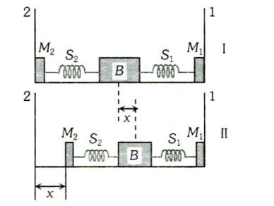 Spring-Mass System