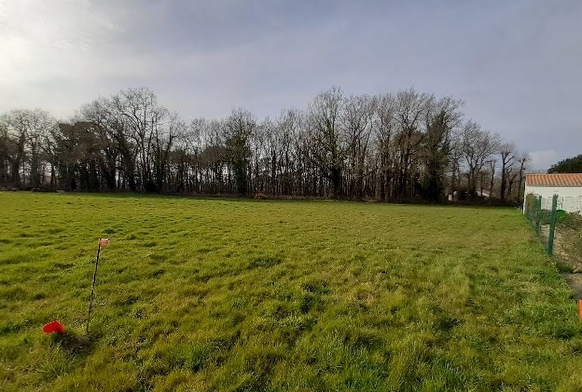  Vente Terrain à bâtir - 3 325m² à Notre-Dame-de-Riez (85270) 