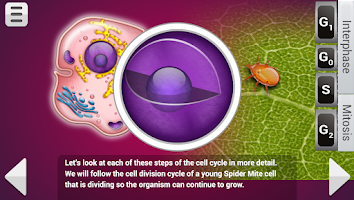 Biology Mitosis & Meiosis Screenshot