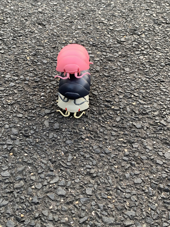ハイエースバンのダンゴムシに関するカスタム事例の投稿画像3枚目
