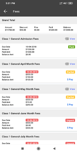 Mount Carmel School, Washim