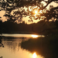 Potsdam lake di 