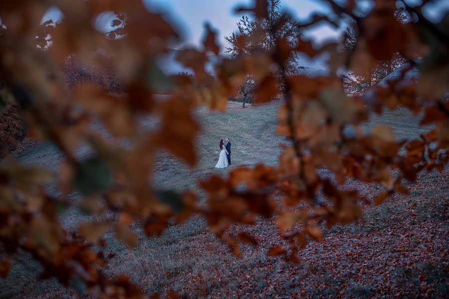 Bryllupsfotograf Catalin Gogan (gogancatalin). Bilde av 14 oktober 2018