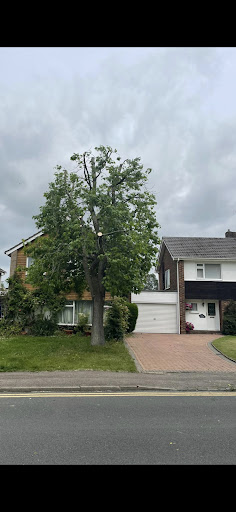 Twenty percent reduction on upper crown