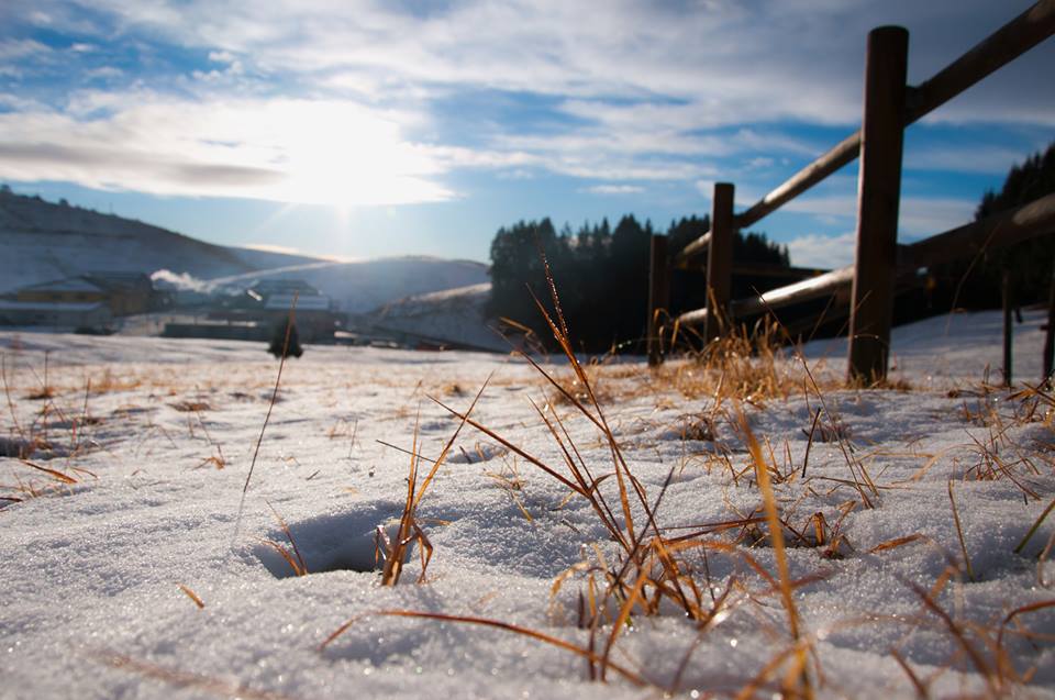 Asiago di manuelavignato