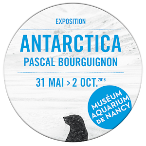Antarctica logo