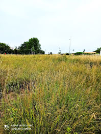 terrain à Surgères (17)