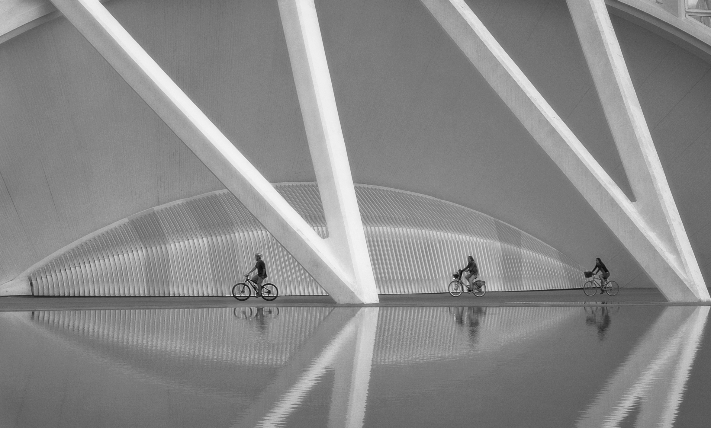 three cyclists di massimo zanotti