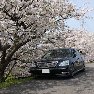 セルシオ