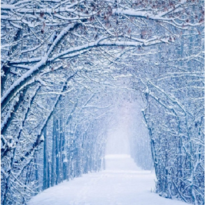 Awesome Snow Winter Wallpapers.apk 2.0