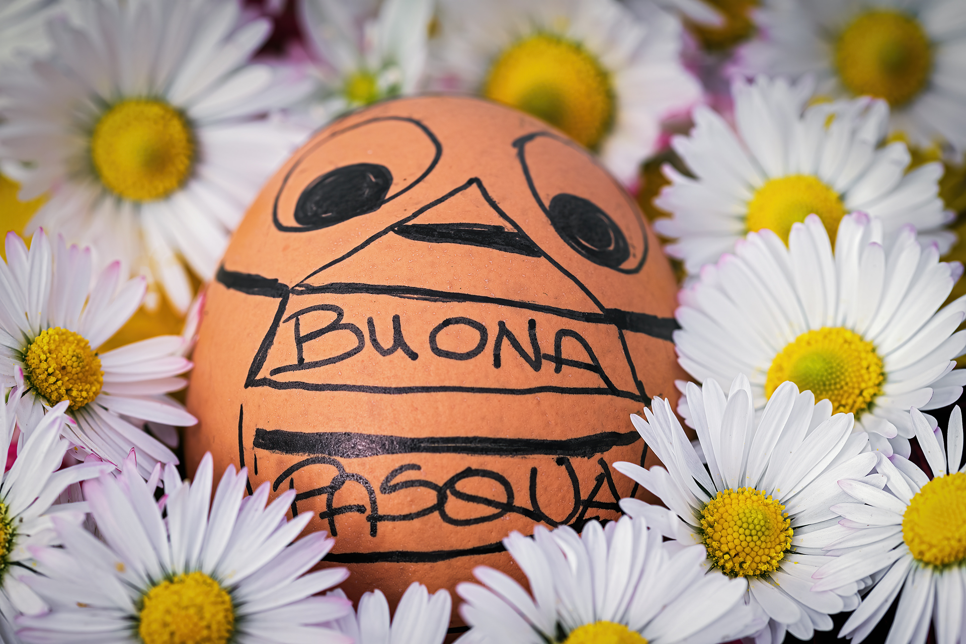 Happy Easter! di giannigalliphoto