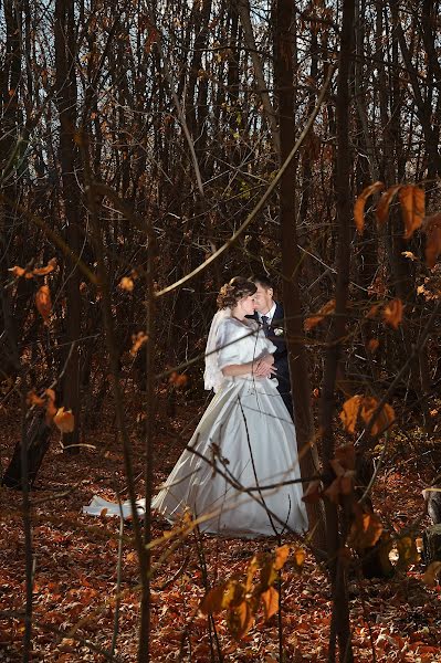 Fotografer pernikahan Aleksandr Filimonov (sashafil). Foto tanggal 26 Januari 2016