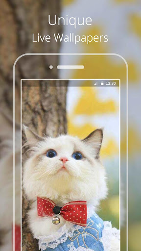 Cute Cat live wallpaper