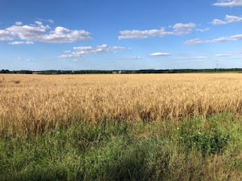 terrain à Coussay-les-Bois (86)