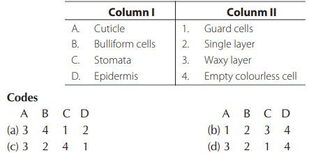 Permanent Tissues