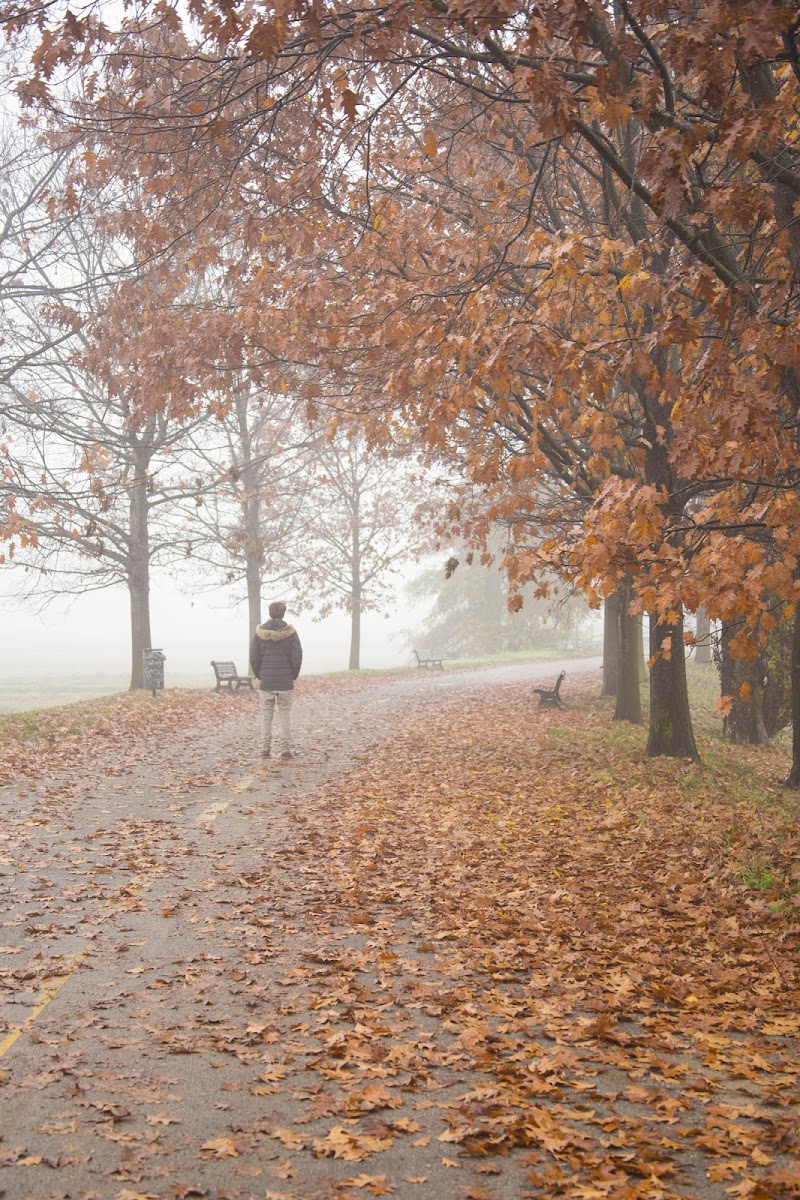 LOST IN THE SILENCE di stefania d'egidio photography