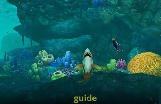 Guide For Hungry Shark World