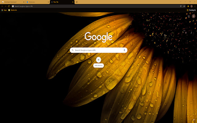 Water Dew on Sunflower Theme chrome extension