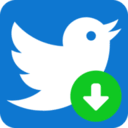 Twitter Video Downloader