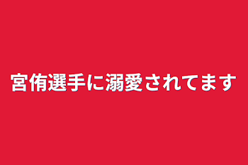 「宮侑選手に溺愛されてます」のメインビジュアル