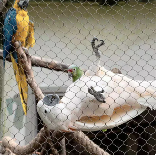 Aviary Zoo Mesh Bird Cages with High Strength Stainless Steel Cable Wire Rope Netting