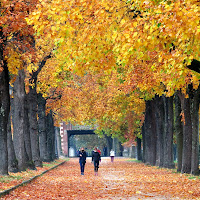 Passeggiata sulle Mura di Lucca  di Giorgio Lucca