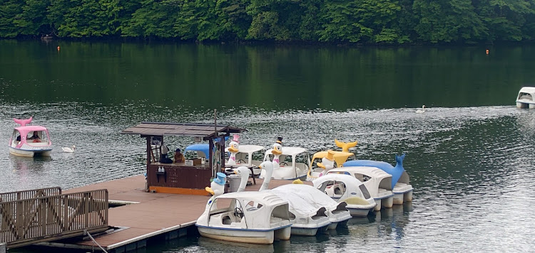 レガシィツーリングワゴンの国東半島ドライブ・慈恩の滝・志高湖・差し色は金・愛車の差し色に関するカスタム事例の投稿画像4枚目