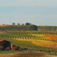 Vivere in campagna di 