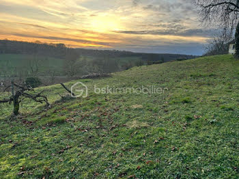 terrain à Nogent (52)