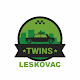 Twins Taxi Leskovac Download on Windows