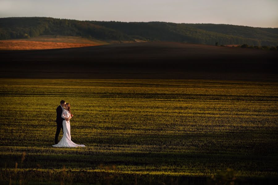 Fotografo di matrimoni Andrey Medvedyuk (medvediuk). Foto del 16 febbraio 2019