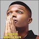 Download Wizkid Songs Lyrics For PC Windows and Mac 1.0