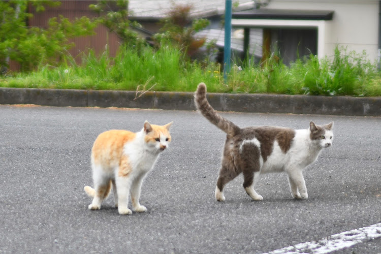 の投稿画像19枚目