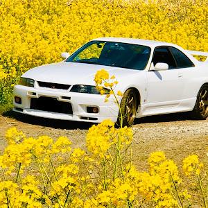 スカイライン GT-R BCNR33