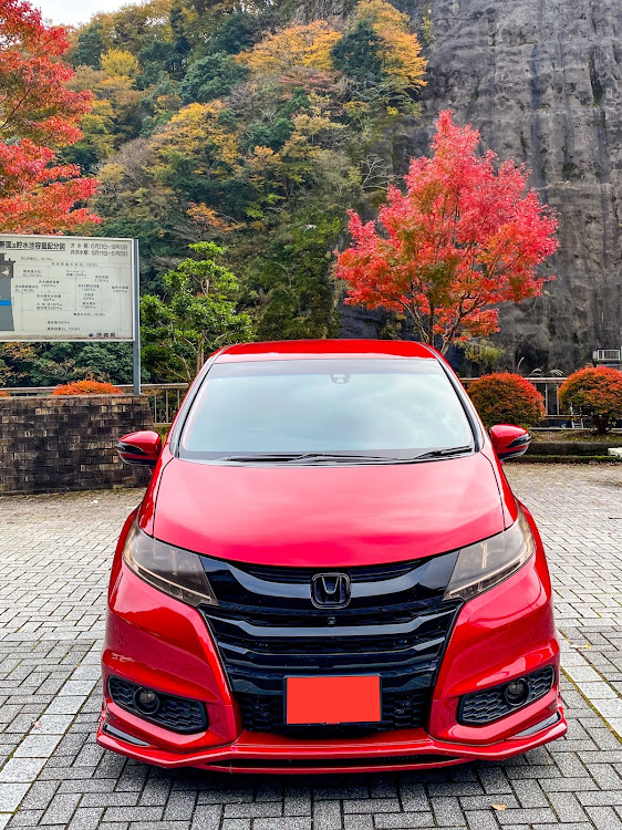 オデッセイのclub.M・茨城県常陸太田市・龍神ダムと龍神大吊橋・5.4.3.2.1.バンジー‼️・常陸秋そばに関するカスタム事例の投稿画像9枚目