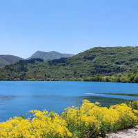 I colori di primavera. di 