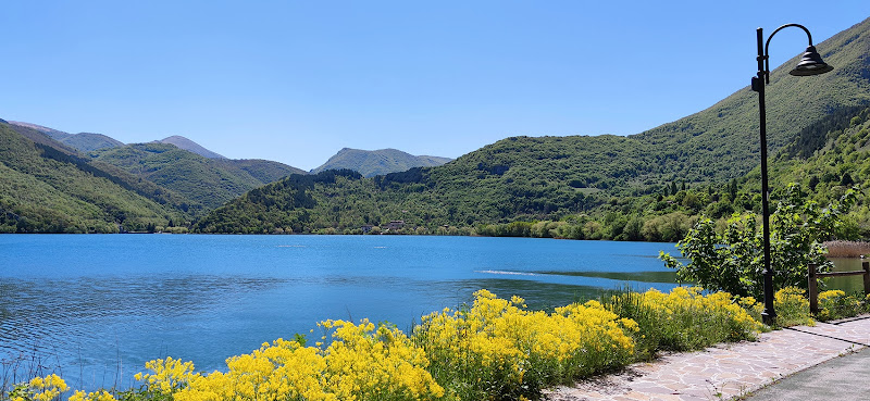 I colori di primavera. di Cesidio