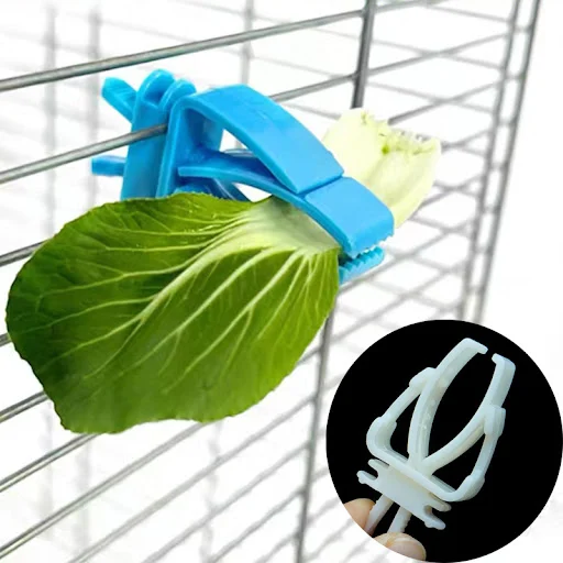 1Pcs Small Pet Bird Food Holder Parrot Fruits Vegetables Clip Cuttlefish Bone Feeder Device Clamp Bird Cage Accessories 