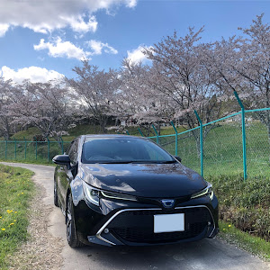 カローラスポーツ ZWE211H