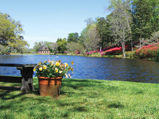 Spend time at pretty Middleton Place Lake in Charleston, part of Middleton Place, a National Historic Landmark.