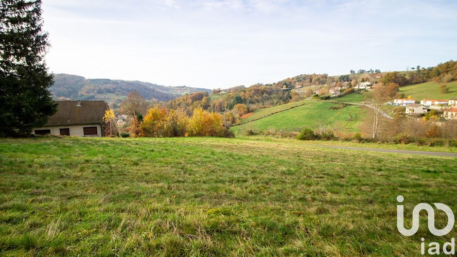 Vente terrain  3073 m² à Olliergues (63880), 22 000 €