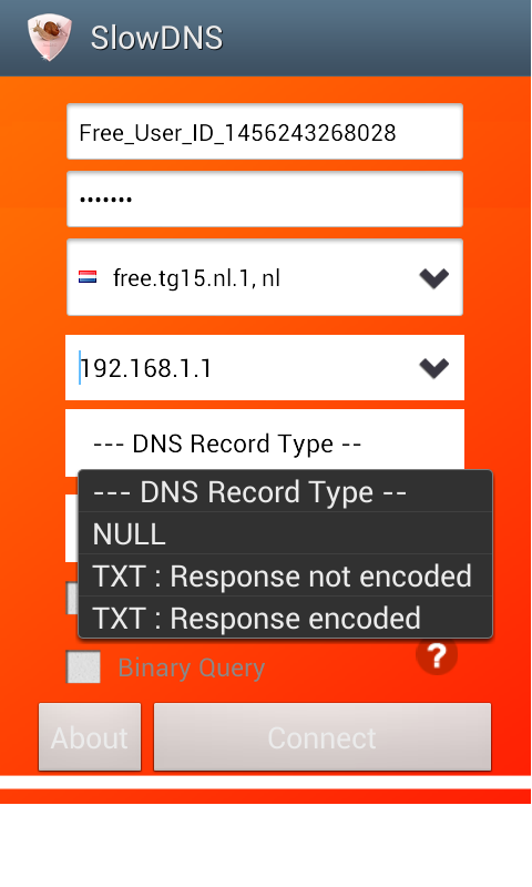   VPN Over DNS  Tunnel : SlowDNS: captura de tela 