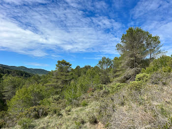 terrain à Carcassonne (11)