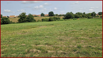 terrain à Cérans-Foulletourte (72)