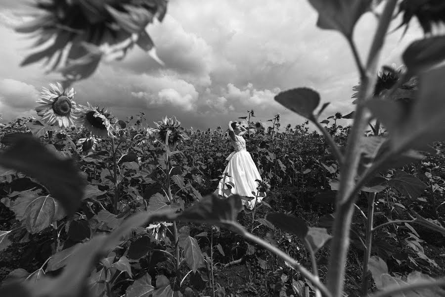 Bryllupsfotograf Stanislav Istomin (istominphoto). Bilde av 29 juli 2016