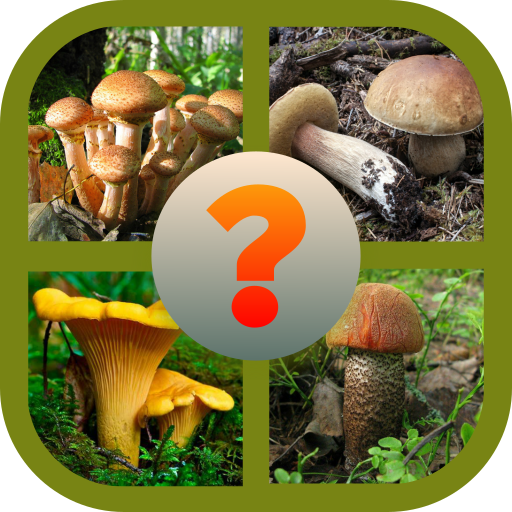 Угадайка Гриб