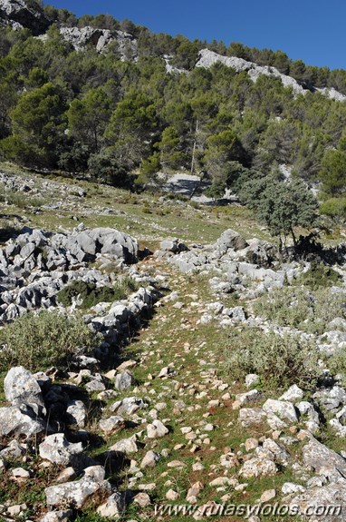 Calzada de Villaluenga a Grazalema