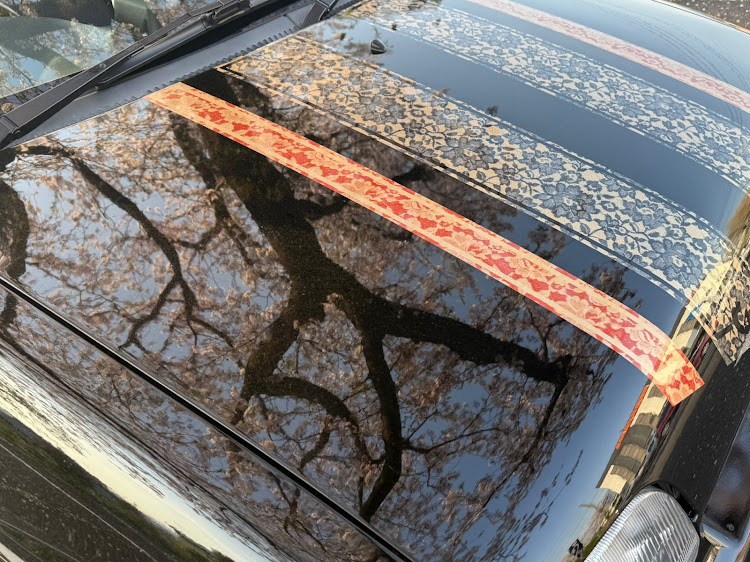 アルトのサクラと愛車・夕日に輝くあなたの愛車・ドライブに関するカスタム事例の投稿画像5枚目