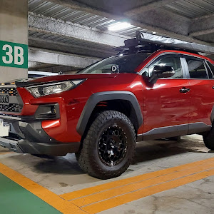 RAV4 MXAA54