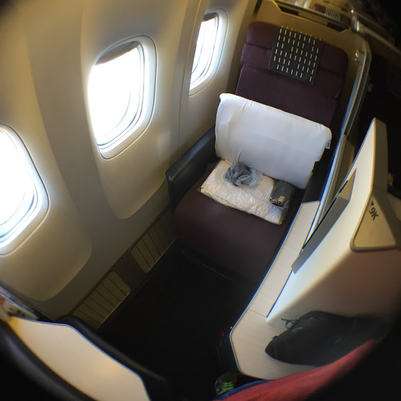 a cat sitting on a chair in an airplane